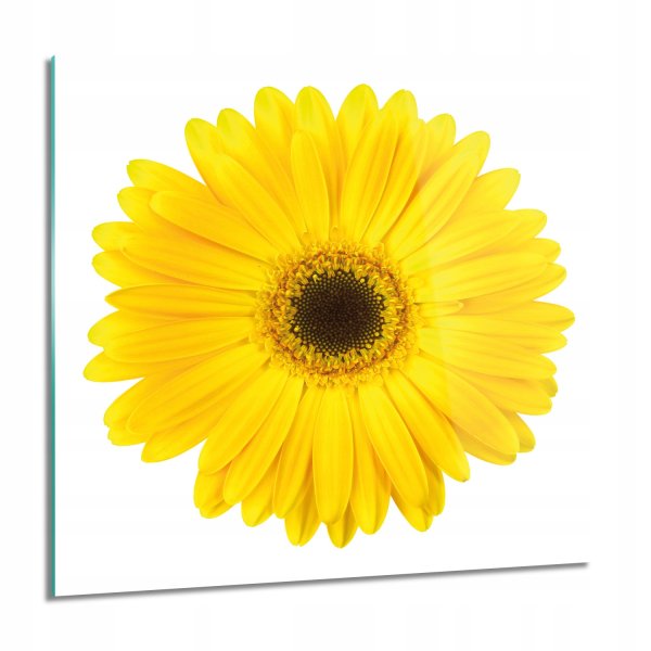 Желтые ромашки для детей