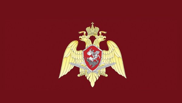 Флаг ВНГ РФ