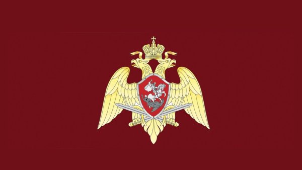 Герб войск национальной гвардии Российской Федерации