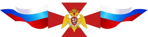 Флаг ВНГ РФ