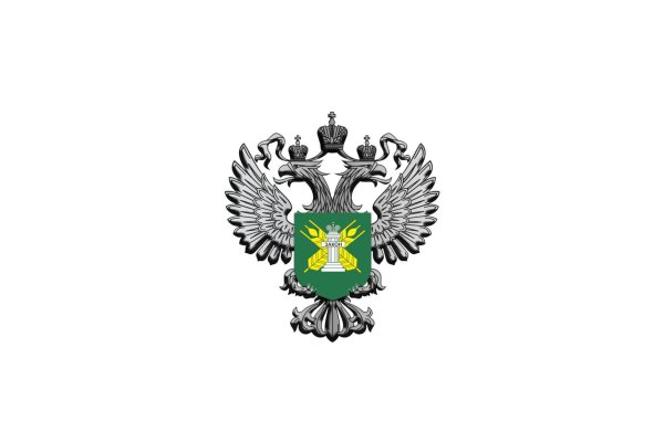 Фон для презентации Россельхознадзор