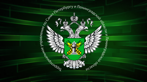Россельхознадзор ветеринарный надзор