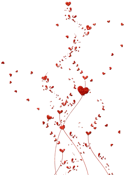 Россыпь лепестков на прозрачном фоне