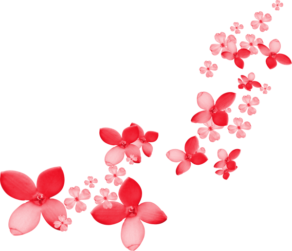 Россыпь цветов