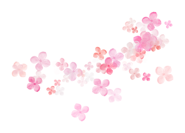 Россыпь цветов