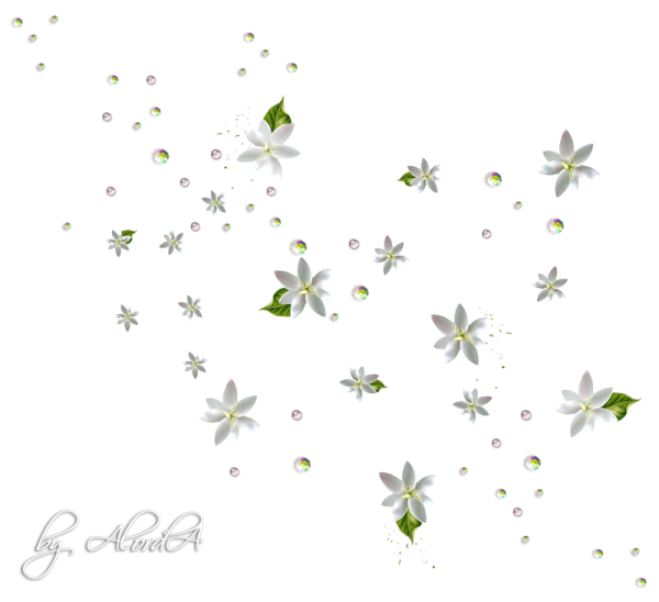 Маленькие цветочки на прозрачном фоне