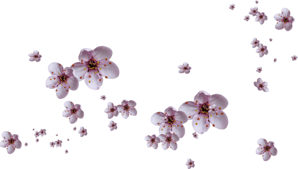 Маленькие цветочки на белом фоне