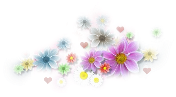 Россыпь цветов без фона