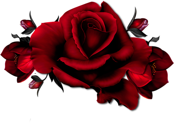 Темно красные цветы на прозрачном фоне