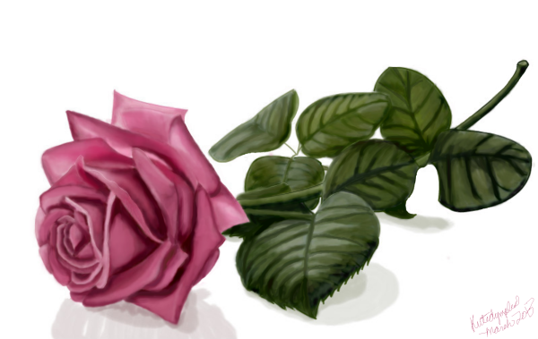 Один цветок лежачий