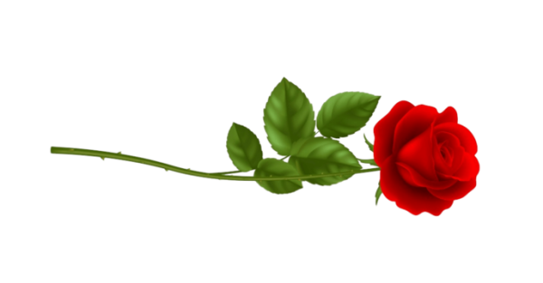 Розочка лежит вектор