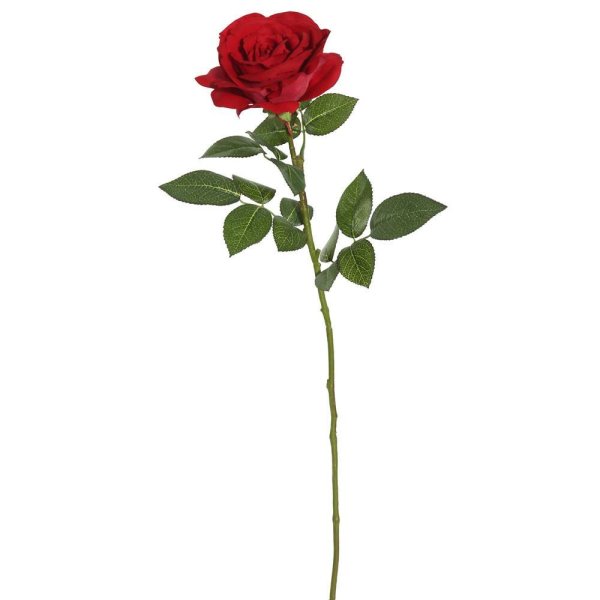 Стебель розы