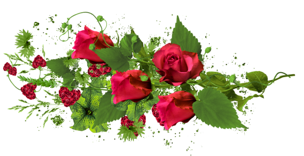 Цветы для вставки