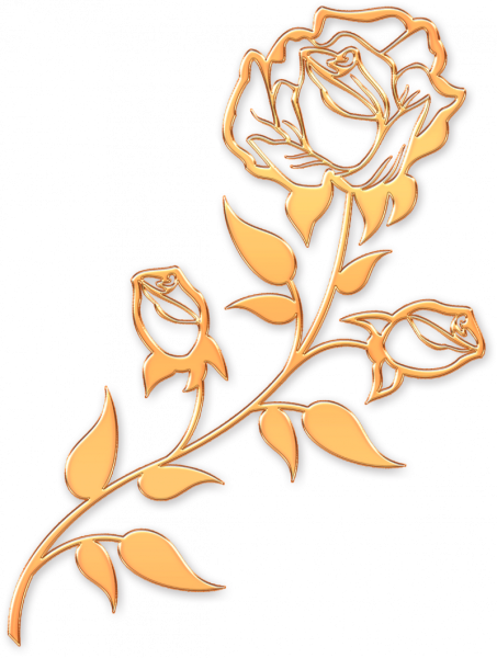 Золотаяряса на белом фоне