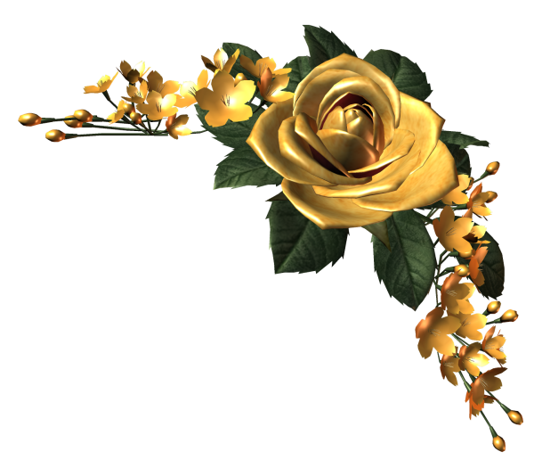 Золотистые цветы