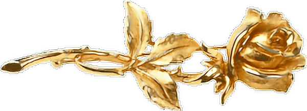 Золотая роза на белом фоне