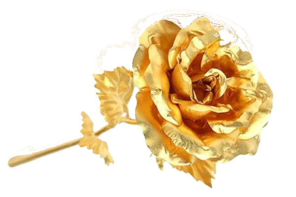 Золотаяряса на белом фоне