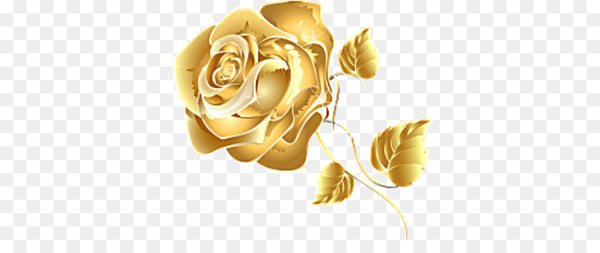 Золотая роза на прозрачном фоне