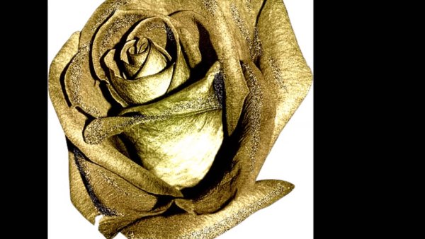 Роза из золота