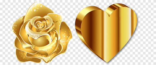 Золотая роза на прозрачном фоне