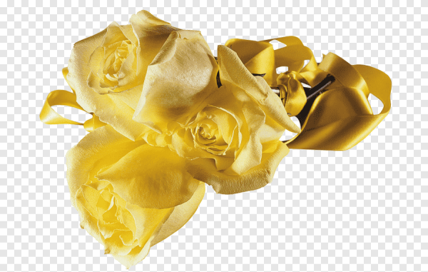 Золотистые цветы на прозрачном фоне