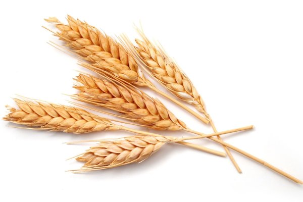 Пшеница для детей