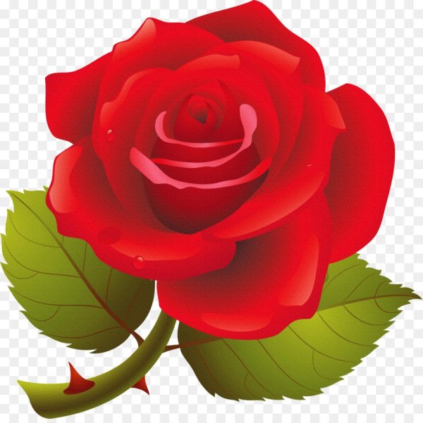 Мультяшные цветы розы