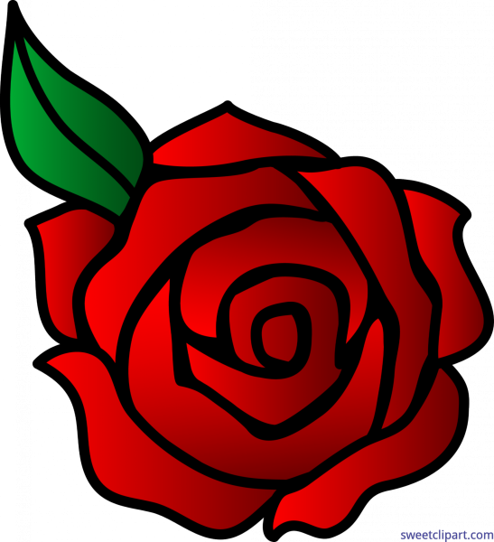 Роза рисунок