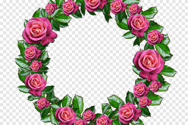 Розы по кругу