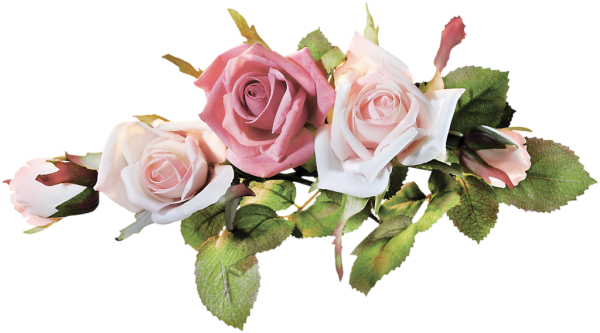 Розы на прозрачной основе