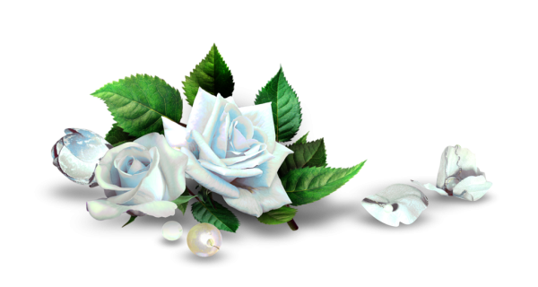 Живые цветы россыпь