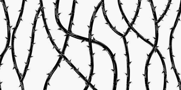 Терновые ветки с шипами