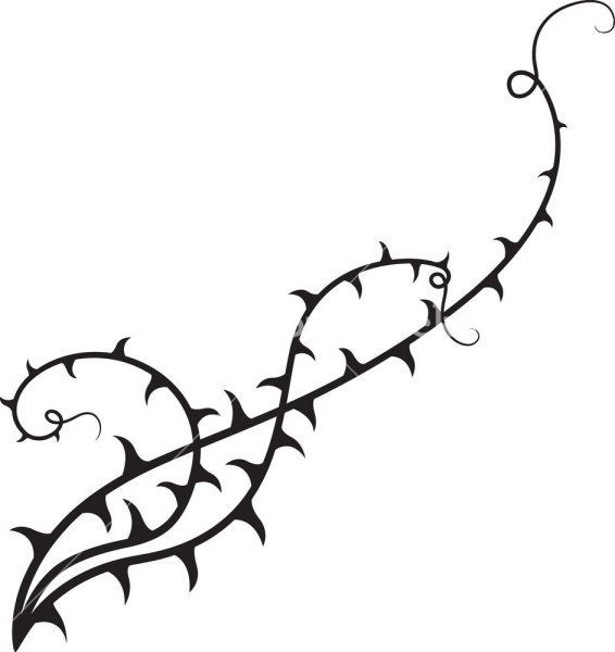 Колючая лоза