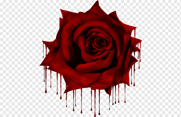 Роза с шипами арт