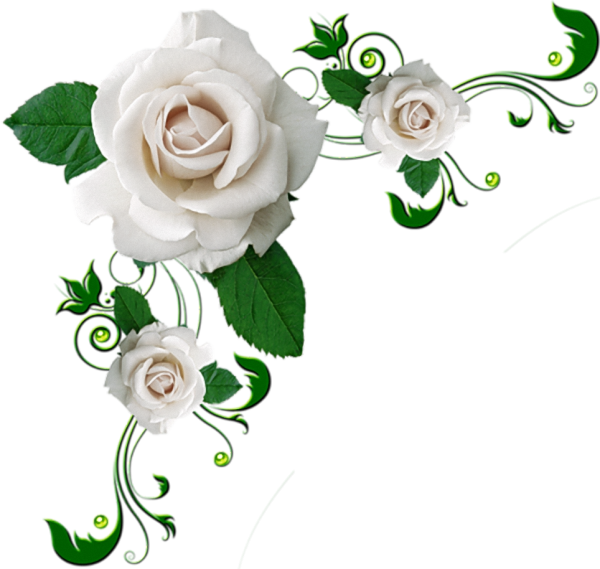 Цветы угловые