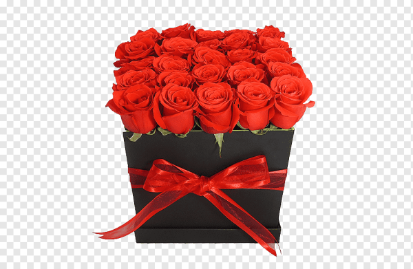 Букет роз в коробке на прозрачном фоне