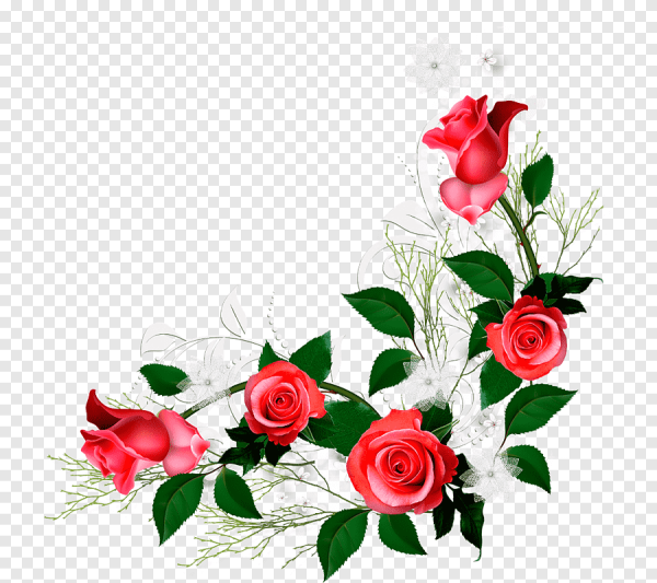 Угловые цветы розовые