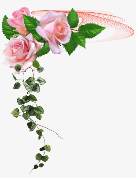 Цветочные уголки на прозрачном фоне