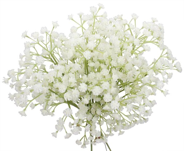 Сиреневая гипсофила Gyu