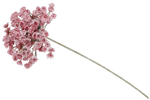 Ветка розовой гипсофилы