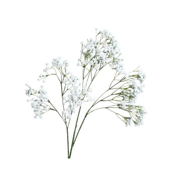 Гипсофила ветка