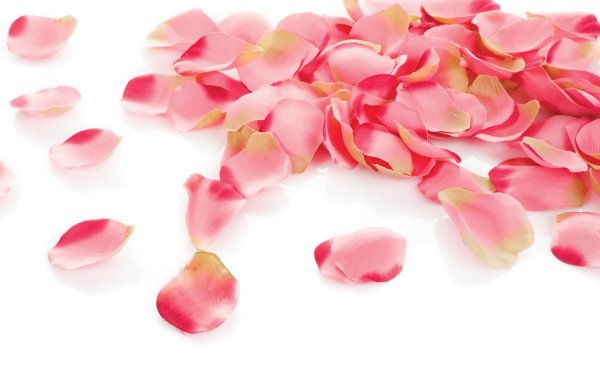 Лепестки роз