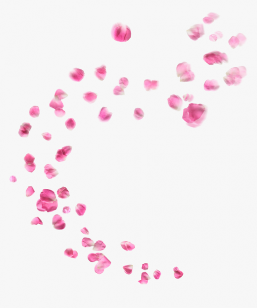 Летящие лепестки