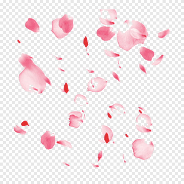 Падающие лепестки роз