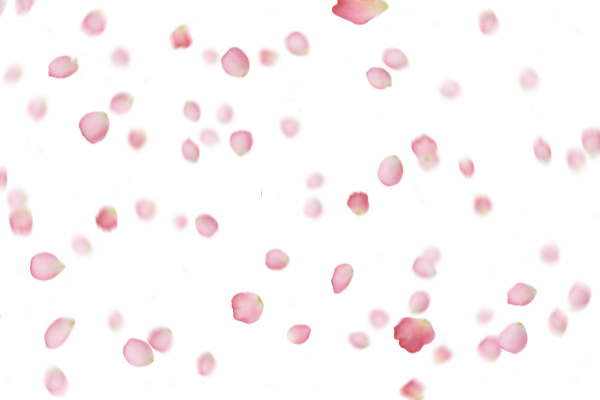 Падающие лепестки роз