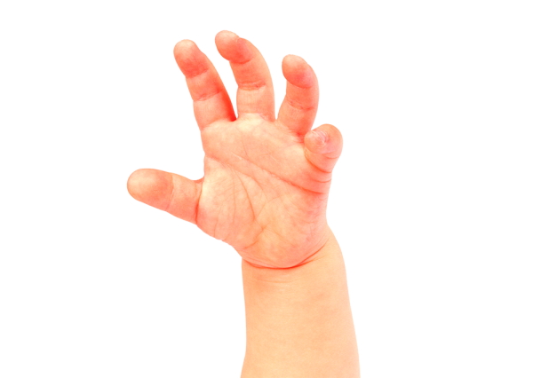 Маленькие ладони