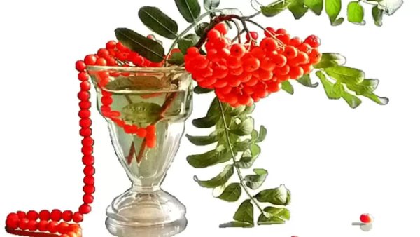 Рябина в прозрачной вазе
