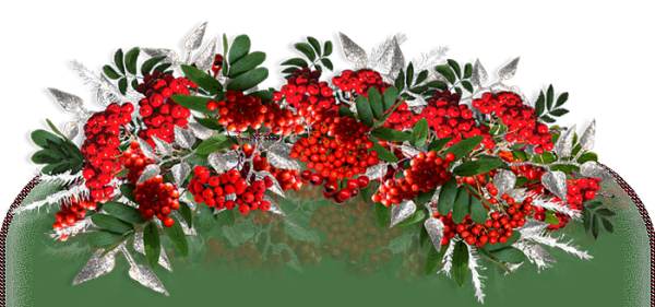 Уголок Рябинка на прозрачном фоне