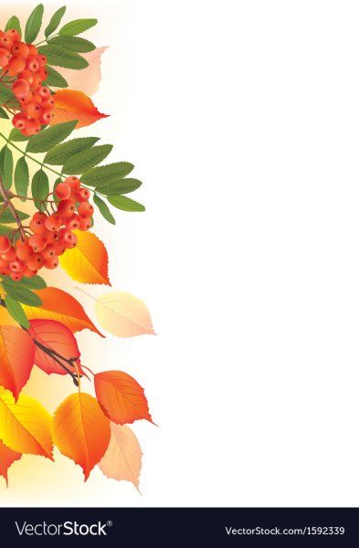 Рамки для текста с рябинкой