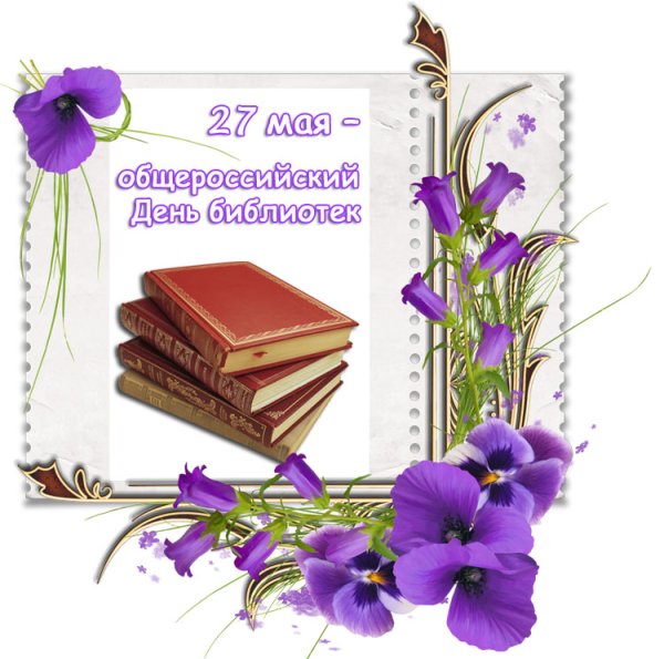 27 Мая день библиотек